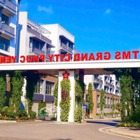 Bán Đất Nền Dự Án Tms Grand City Phúc Yên, 3,6 Tỷ, 87,5M2, Siêu Hot!