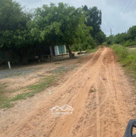 Bán Đất Ngộp Gần Khu Dân Cư Rạng Đông Ngay Tp. Tây Ninh Giá Rẻ