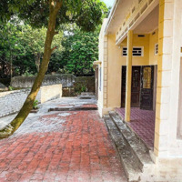 Bán Đất Tặng Nhà 226M2,Gần Trường Giao Thông Vận Tải Tw,Cho Sinh Viên Thuê Hoặc Kd Cho Thu Nhập Tốt