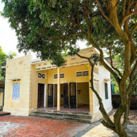 Bán Đất Tặng Nhà 226M2,Gần Trường Giao Thông Vận Tải Tw,Cho Sinh Viên Thuê Hoặc Kd Cho Thu Nhập Tốt