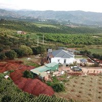 Bán Gấp 2 Lô Đất Mê Linh, Lâm Hà, Lâm Đồng - 1 Lô 17Ha, 1 Lô 20Ha. Giá Bán 8 Tỷ/Ha