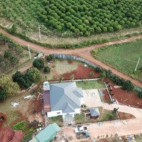 Bán Gấp 2 Lô Đất Mê Linh, Lâm Hà, Lâm Đồng - 1 Lô 17Ha, 1 Lô 20Ha. Giá Bán 8 Tỷ/Ha