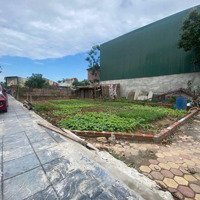 Bán Mảnh Đất Khu Đấu Giá X5 Du Nội - Mai Lâm - Đông Anh - Hà Nội. Lô Góc 2 Mặt Tiền.viu Nhà Văn Hoá