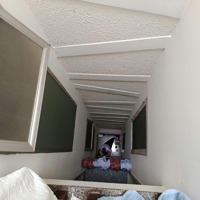 Lãnh Binh Thăng Quận 11 - 40M2 Ko Lộ Giới - Hẻm Ô Tô 4 Tầng Sân Thượng