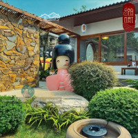 Đẹp! Diện Tích 300M Có Sân Vườn Cực Chill. Lô Góc Đỉnh. Giá Chỉ 3X. Tại Hoàng Cầu - Đống Đa.