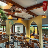 Đẹp! Diện Tích 300M Có Sân Vườn Cực Chill. Lô Góc Đỉnh. Giá Chỉ 3X. Tại Hoàng Cầu - Đống Đa.