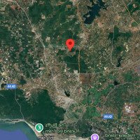 Bán Gấp 25.400M2, Hòa Bình, Xuyên Mộc, Brvt, Đất Full Cao Su, Cách Hồ Tràm 20Km Phù Hợp Nghỉ Dưỡng