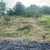 Đất Nền 150M2 Thổ Cư Tại Hẻm Bê Tông Ql50, Phước Đông, Cần Đước. Gần Cầu Mỹ Lợi. 720 Triệu/150M2. Shr