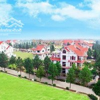 Bán Bt Tại The Phoenix Garden, Phùng, Đan Phượng, Hà Nội, 80 Triệu/M2, 217M2
