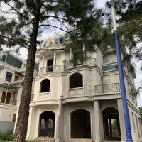 Bán Bt Tại The Phoenix Garden, Phùng, Đan Phượng, Hà Nội, 80 Triệu/M2, 217M2