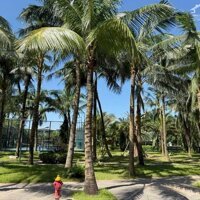 Bán biệt thự khu đô thị Ecoriver Hải Dương, vị trí trung tâm đẹp nhất.