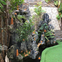 Cơ Hội Sở Hữu Nhà Đẹp Giữa Lòng Quận 3 Đường Lê Văn Sỹdiện Tích5X20, Khu Dân Trí Cao - Giá Bán 22,5 Tỷ