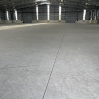 Cho Thuê Khomặt Tiềnhoàng Quốc Việt, P.phú Mỹ, Q7 - Kho Cao Ráo Xe Cont Ra Vào 24/7 - 80 Triệu/Tháng
