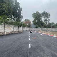 Bán Đất Phú Cát - Hòa Lạc - Khu Cnc - Nhà Máy In Tiền Qg - Chính Chủ Giá Fo