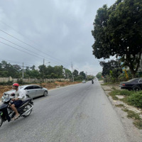 Bán Đất Phường Xuân Khanh, Thị Xã Sơn Tây