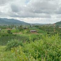 4.6 sào Bảo Lộc 80m mặt đường view đẹp chỉ 2ty6.
