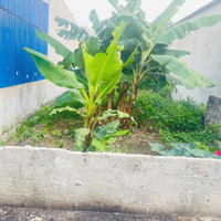 Bán Đất Khoái Châu Giá Lợn Chết Giá 33 Triệu/M Bao Sổ Phí Chuyển Nhượng Liên Hệ: 0333.666.483