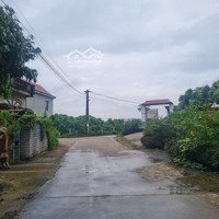 Bán Đất Tại Hợp Đức, Tân Yên, Bắc Giang, Giá Thỏa Thuận, 1320M2