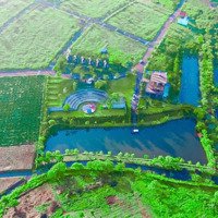 Đất Nền Nghỉ Dưỡng Sổ Sẵn Bảo Lộc