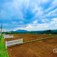Chỉ Từ 286 Triệu Sở Hữu Ngay Đất Nền View Đồi Tại Lâm Đồng