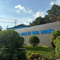 Bán Gấp Đất Thổ Cư Sổ Riêng Phường Tân Triều, Chỉ 300 Triệu Mua Được Ngay Còn Lại Ngân Hàng Hỗ Trợ Vay