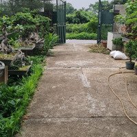 Chính Chủ Cần Bán Mảnh Đất- Lý Thánh Tông- Gia Lâm
