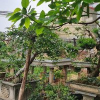 Chính Chủ Cần Bán Mảnh Đất- Lý Thánh Tông- Gia Lâm