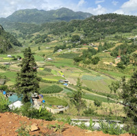 Cần Bán Mảnh Đất 9700M2 Gần Ngay Trường Lê Văn Tám Phường Hàm Rồng Tp Sapa Lào Cai