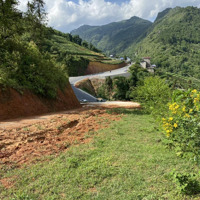 Cần Bán Mảnh Đất 9700M2 Gần Ngay Trường Lê Văn Tám Phường Hàm Rồng Tp Sapa Lào Cai