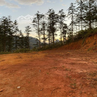 Cần Bán Mảnh Đất 9700M2 Gần Ngay Trường Lê Văn Tám Phường Hàm Rồng Tp Sapa Lào Cai
