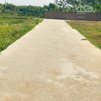 Bán Đất Tại Đoan Bái Hiệp Hoà View Cánh Đồng Quy Hoạch Đất Đấu Giá Gần Ccn Đoan Bái Mở Rộng