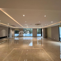 Vị Trí Đẹp Cho Thuê Nhà Mặt Phố Nguyễn Khánh Toàn Sử Dụng 400M2+ 1Hầm, Mặt Tiền Kinh Doanh Dài 16M
