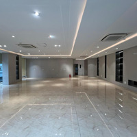 Vị Trí Đẹp Cho Thuê Nhà Mặt Phố Nguyễn Khánh Toàn Sử Dụng 400M2+ 1Hầm, Mặt Tiền Kinh Doanh Dài 16M