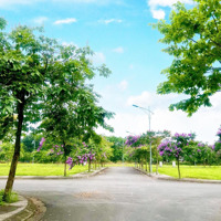 Cần Bán Lô Đất Nền Cạnh Chợ, Trung Tâm Thị Trấn, Gần Ubnd, Trường Học, Dân Cư Đông Chỉ 1,X Tỷ