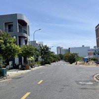 Trục Thông Khu E Kim Long Giá Rẻ Nhất Thị Trường