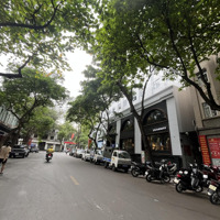 Bán Nhà Mặt Phố Vip Mai Hắc Đế , 180M , Giá Chỉ 98 Tỷ , Kinh Doanh Đỉnh , Dòng Tiền Cao , Vỉa Hè