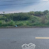 Bán 1 Sào Full Hồng Mặt Tiền Đường Nhựa Lớn Liên Huyện Thông Xuân Lộc - Long Khánh