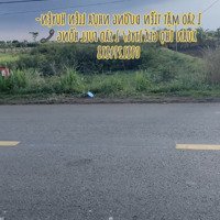 Bán 1 Sào Full Hồng Mặt Tiền Đường Nhựa Lớn Liên Huyện Thông Xuân Lộc - Long Khánh
