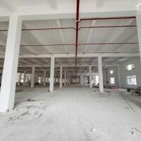 CHO THUÊ XƯỞNG TRONG KCN BÌNH DƯƠNG