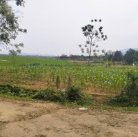 Bán Đất Nghỉ Dưỡng Xã Minh Quang, Ba Vì, Hà Nội