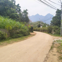 Bán Đất Nghỉ Dưỡng Xã Minh Quang, Ba Vì, Hà Nội
