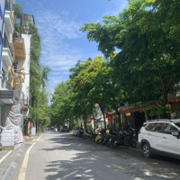 Hiếm! Nhà Mặt Phố Trích Sài, 34M, 5 Tầng, Trước Nhà 4 Ô Tô Tránh Nhau, Dừng Đỗ Ngày Đêm, Hơn 16 Tỷ