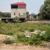 Cần Bán Mảnh Đất Trục Chính Kinh Doanh. Tại Mai Lâm - Đông Anh - Hà Nội. Diện Tích 300M2.