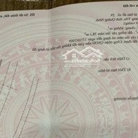 Bán Đất Trục Chính Đường Yên Hưng, Giá Đầu Tư
