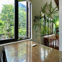Căn Hộ 2 Chỗ Ngủ Ngay Khu Thảo Cầm Vip_Hẻm Vip Thông Hoàng Sa Q1_Khu Office Xịn, Phong Cách Homstay