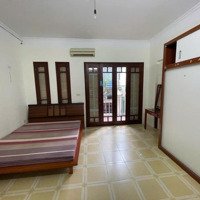 Gà Đẻ Trứng Vàng - Tt Quận Thanh Xuân, Hơn Chục Mét Ra Mặt Phố, Tiện Ích Bạt Ngàn, Giá Đầu Tư.