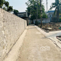 Bán Lô Đất Quỳnh Cư, Hùng Vương, Hồng Bàng 45M Giá Hơn 900 Triệu Liên Hệ: 0979087664