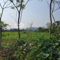 Đất Thổ Cư Tại Ngọc Lặc, Thanh Hóa, 2,5 Tỷ, 1379M2