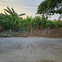 5 công đất quận Ô môn