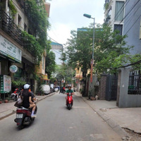 Ccmn 9.9 Tỷ, Dòng Tiền 480 Triệu/Năm, 8 Phòng Khép Kín,Diện Tích45M2, 5 Tầng, Ngõ 279 Đội Cấn, Ba Đình